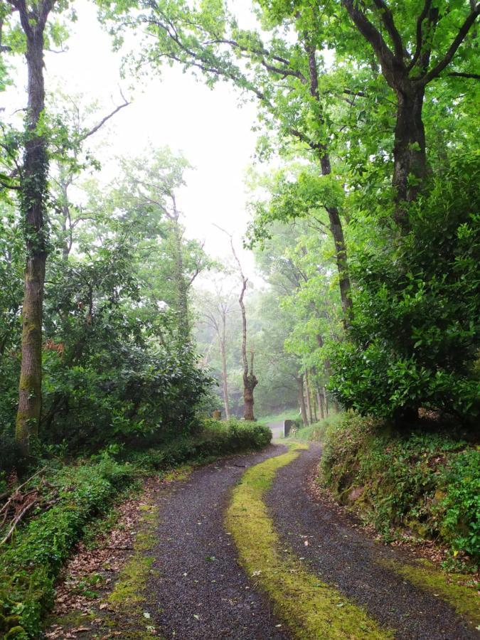 Les Gites Des Beaux Chenes Mortagne-sur-Sevre Zewnętrze zdjęcie